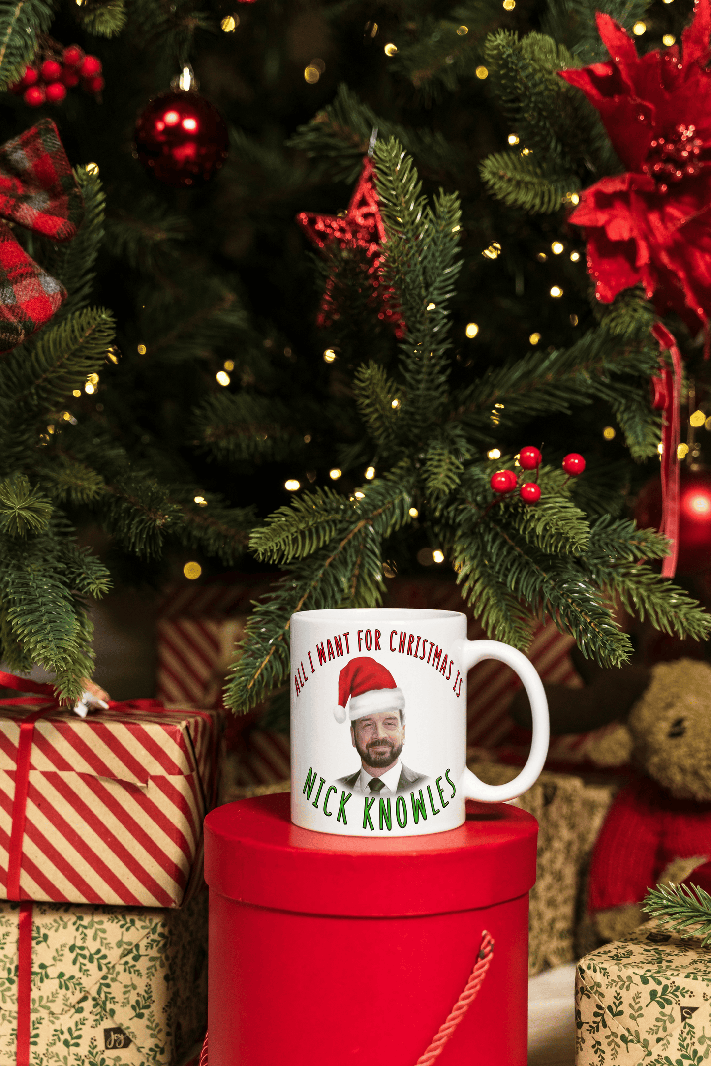 All I want for Christmas is Nick Knowles - Funny Coffee Gift Mug - Great Christmas Gift