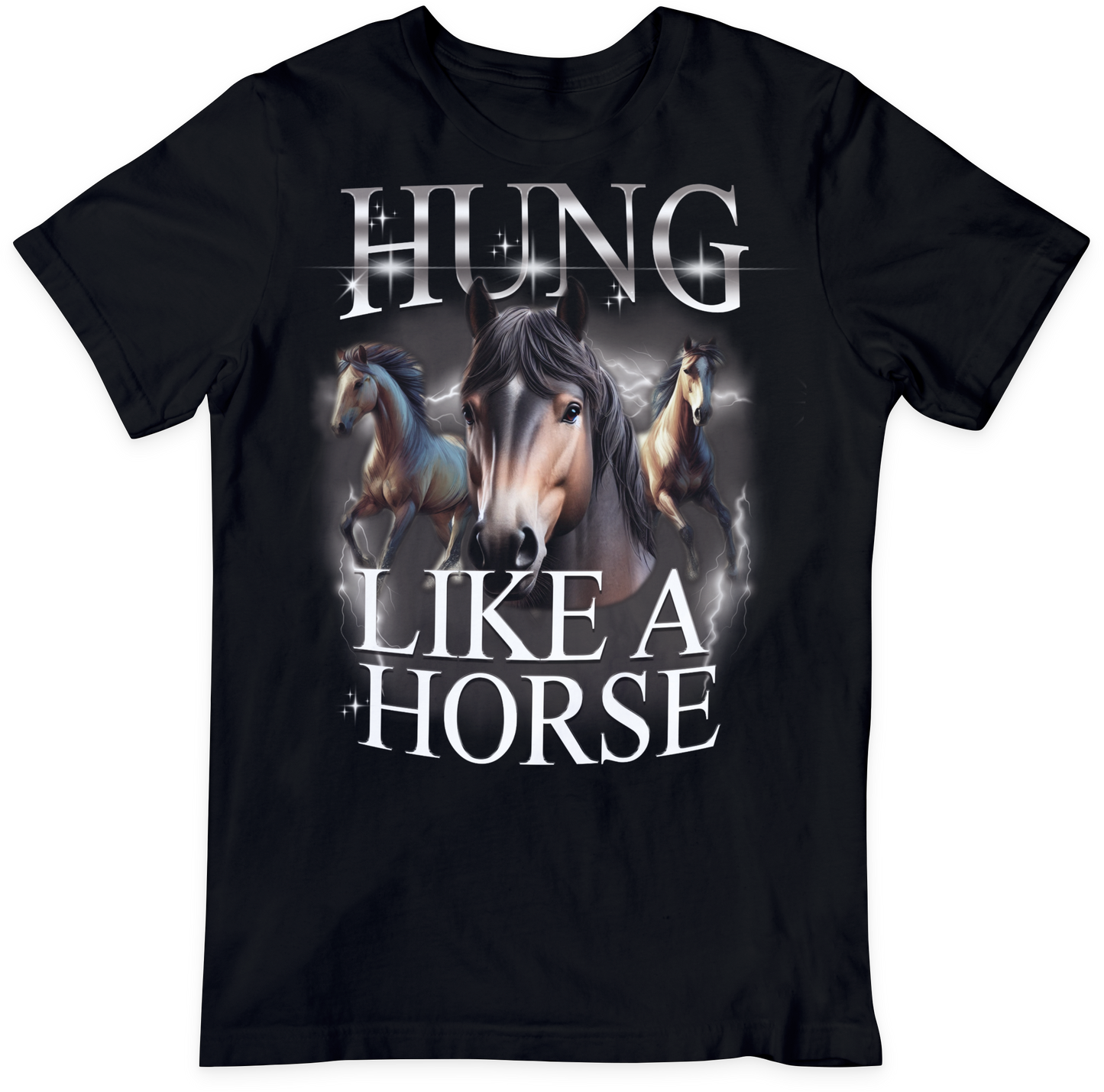 Hung Like A Horse T-Shirt - Funny T-Shirt - Birthday Gift Idea